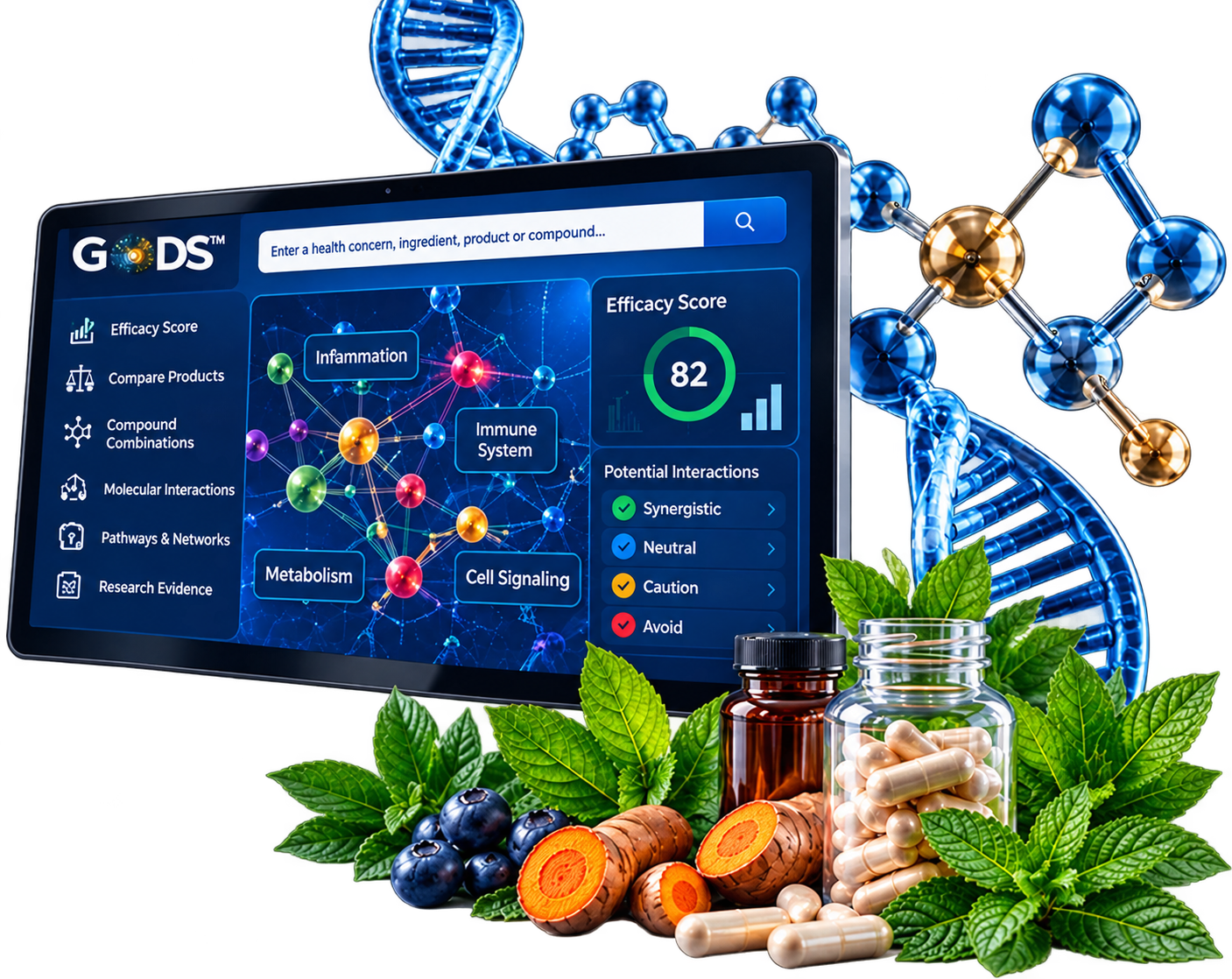 GODS™ dashboard showing an efficacy score of 82, a molecular interaction network and potential interactions, beside supplements, turmeric, blueberries and mint