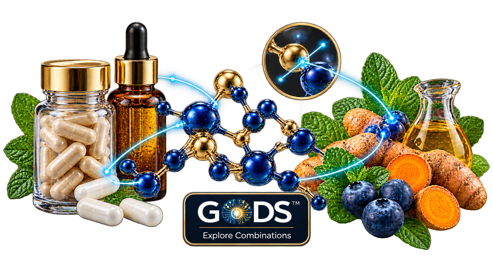 Supplement capsules and botanical ingredients connected through a molecular interaction model